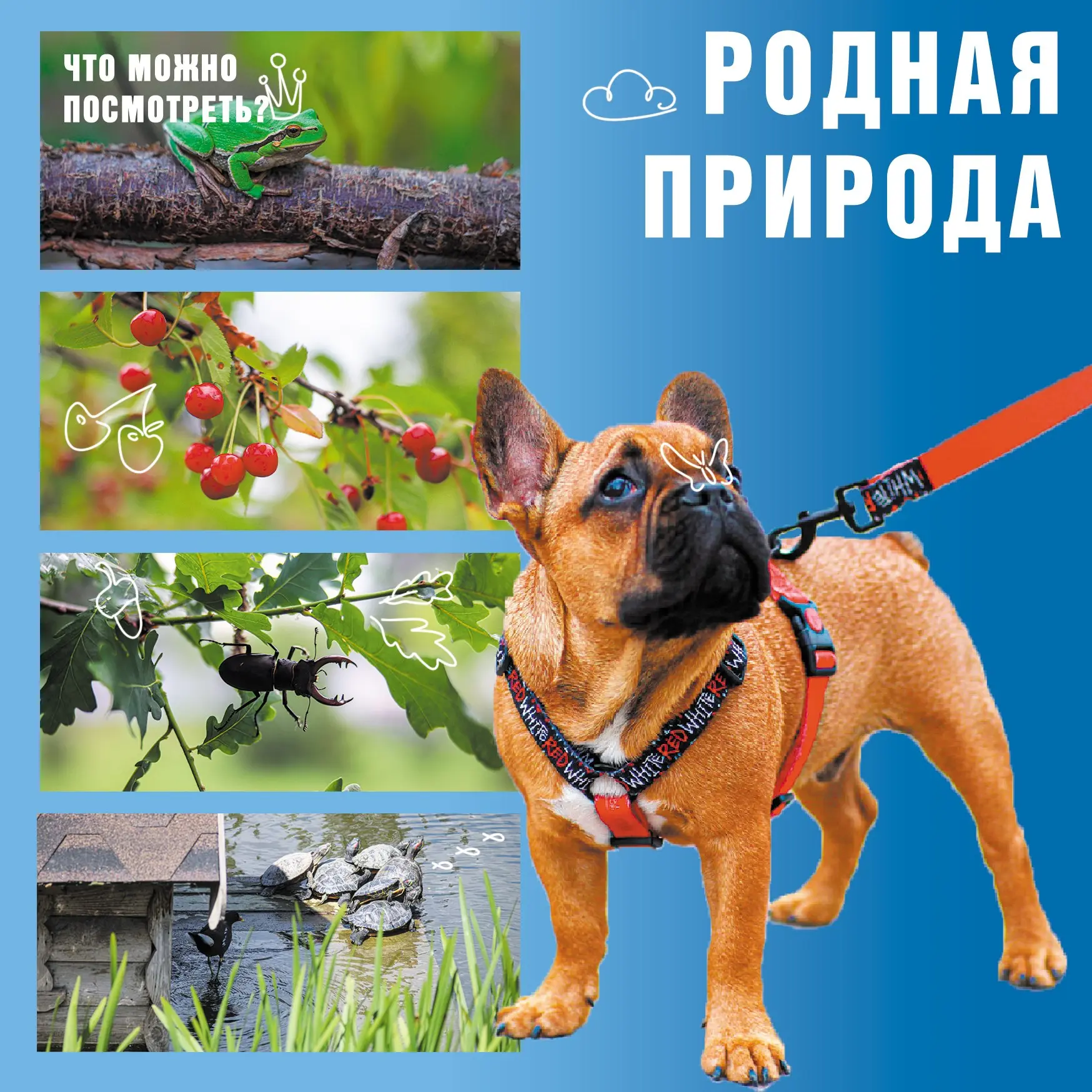 Открытие персональной фотовыставки Александра Лобынцева "Просто лето" 23 июля в 14:00