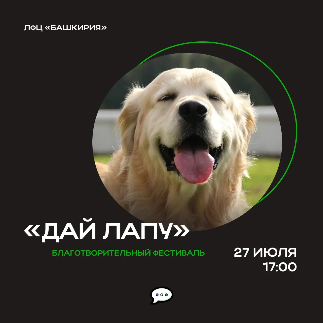 Благотворительный музыкальный фестиваль "Дай лапу"