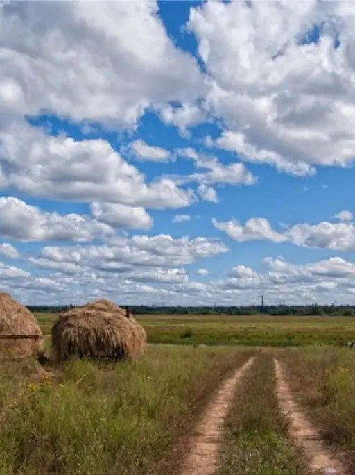 Гастро-тур «Клубника, стейки, Кострома»