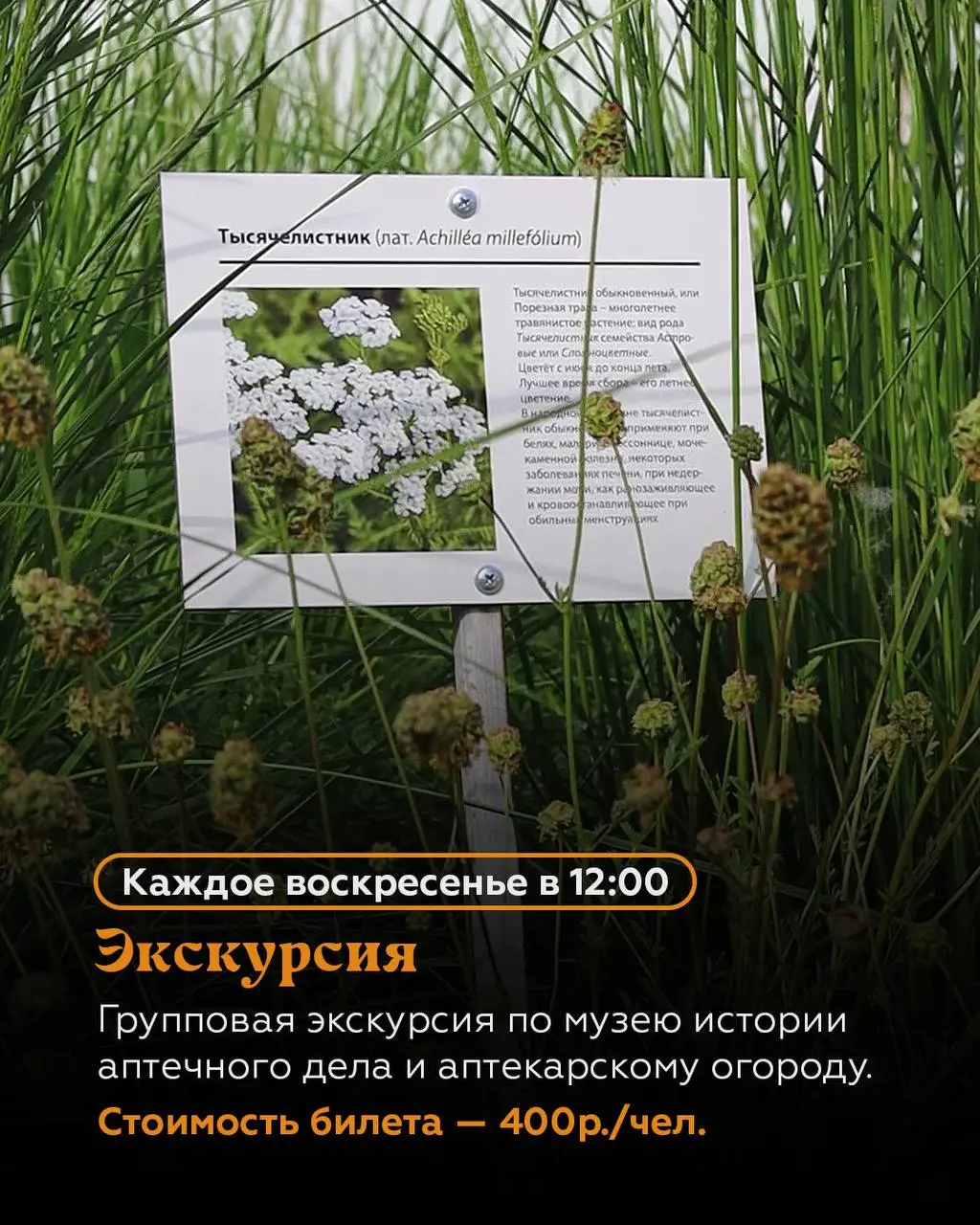 АФИША НА ИЮЛЬ-АВГУСТ