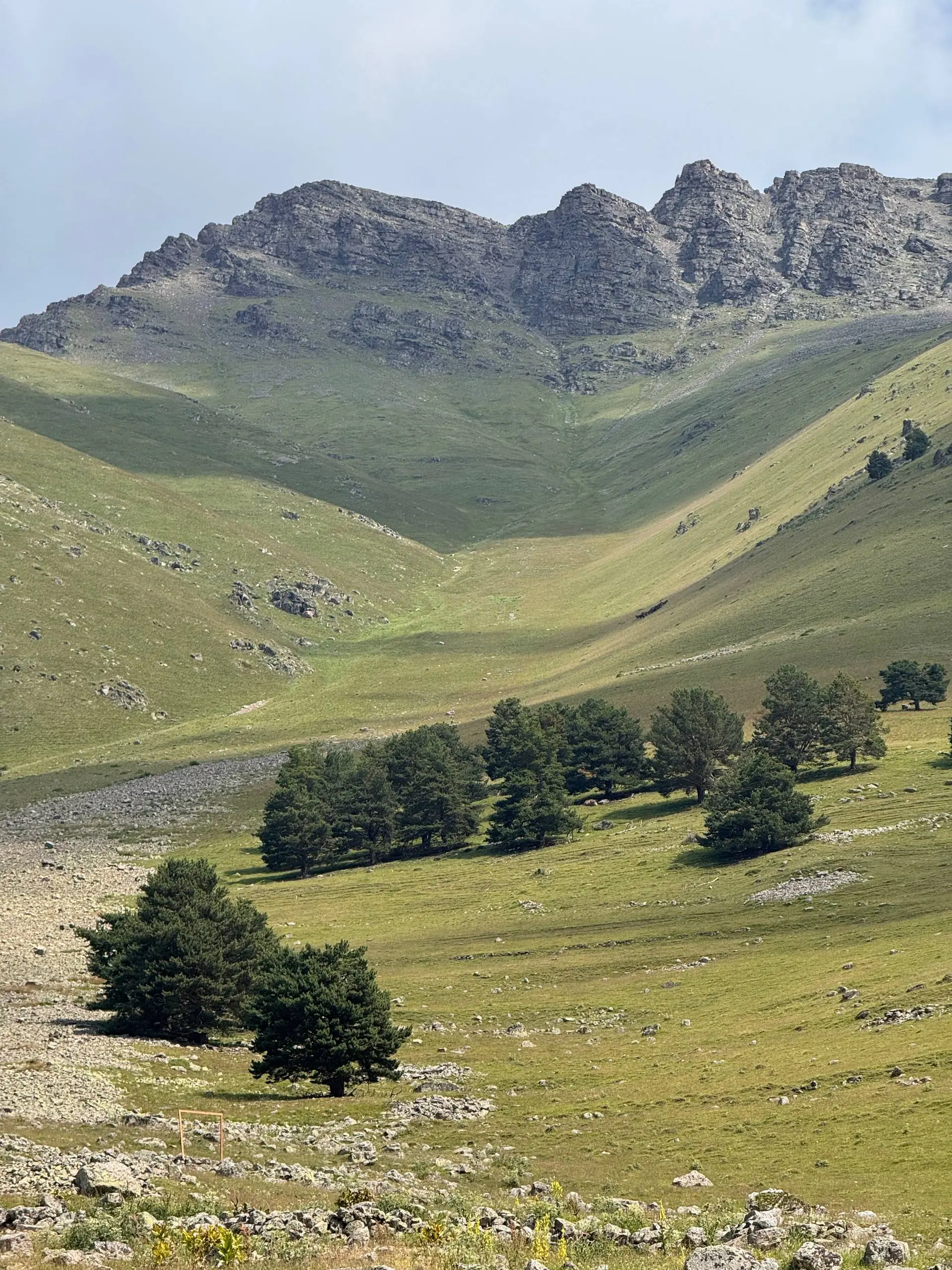 экскурсия в мухинское ущелье