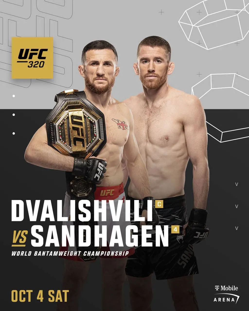 UFC 320 турнир событие