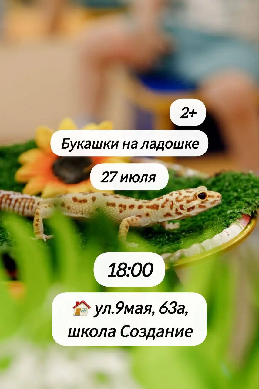 Занятие «Букашки на ладошке» 26 и 27 июля