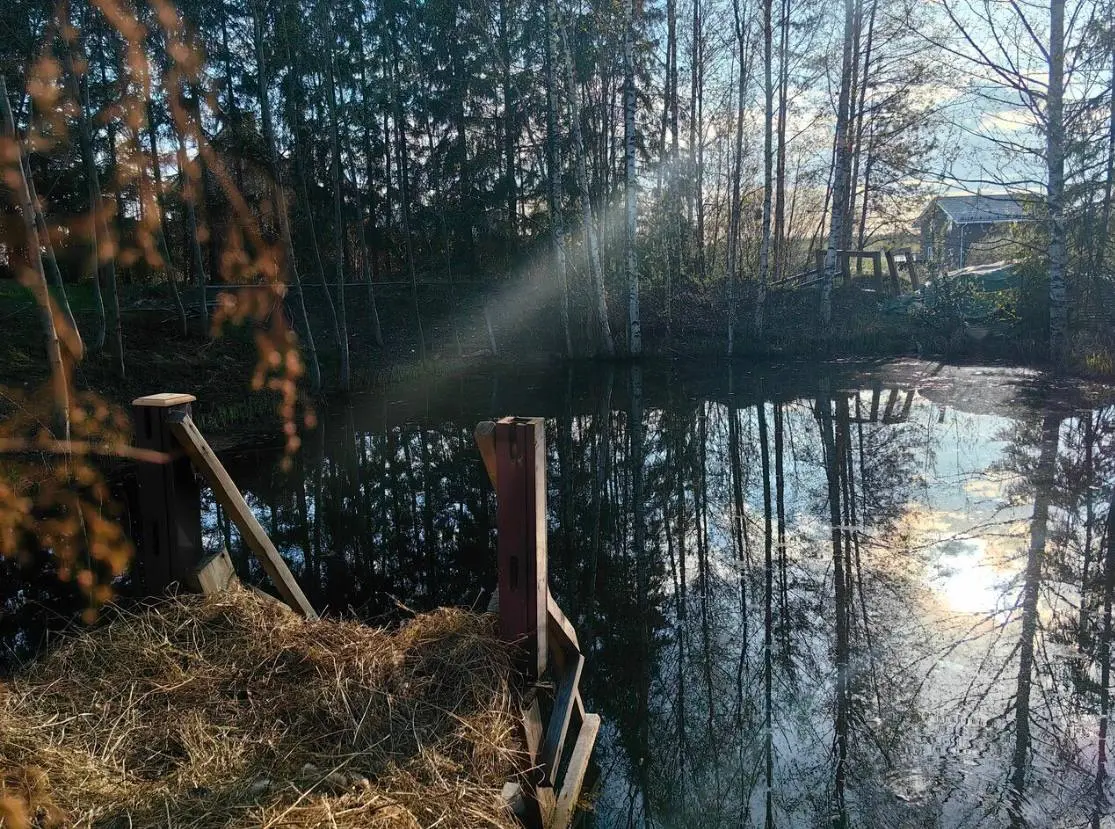 Встреча в деревне Рохма 26 июля 2025