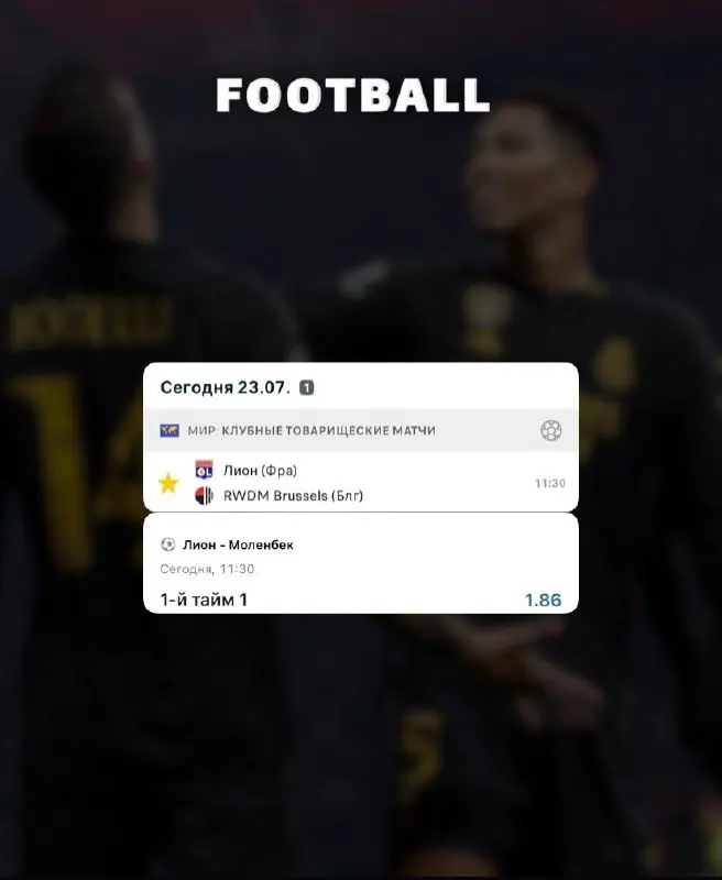 Футбол. Клубные товарищеские матчи: Лион - Моленбек