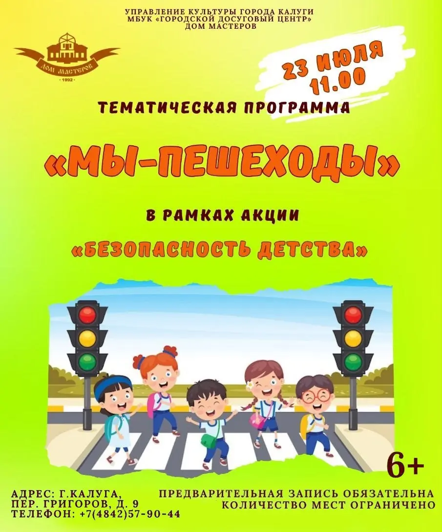 Мы - пешеходы