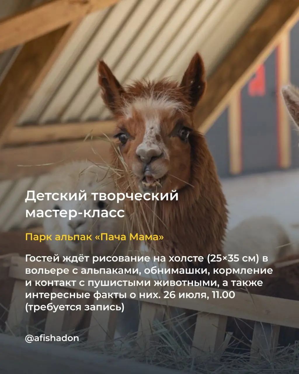 Концерт Дора Крыша