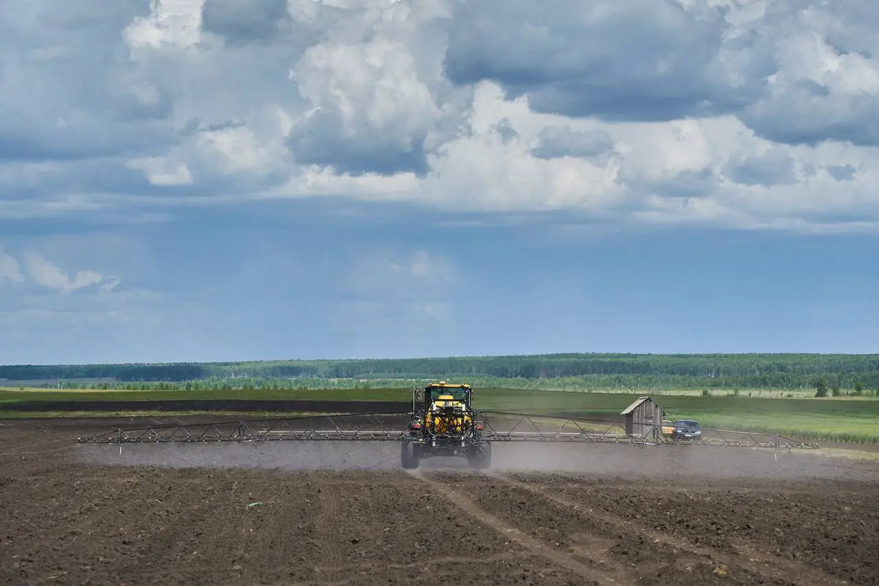 День поля — Новинки техники и сельхозкультур, фермерская ярмарка и экскурсии
