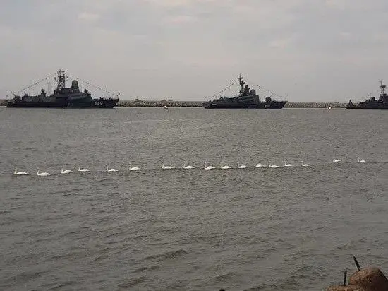 Празднование Дня ВМФ Балтийские лебеди