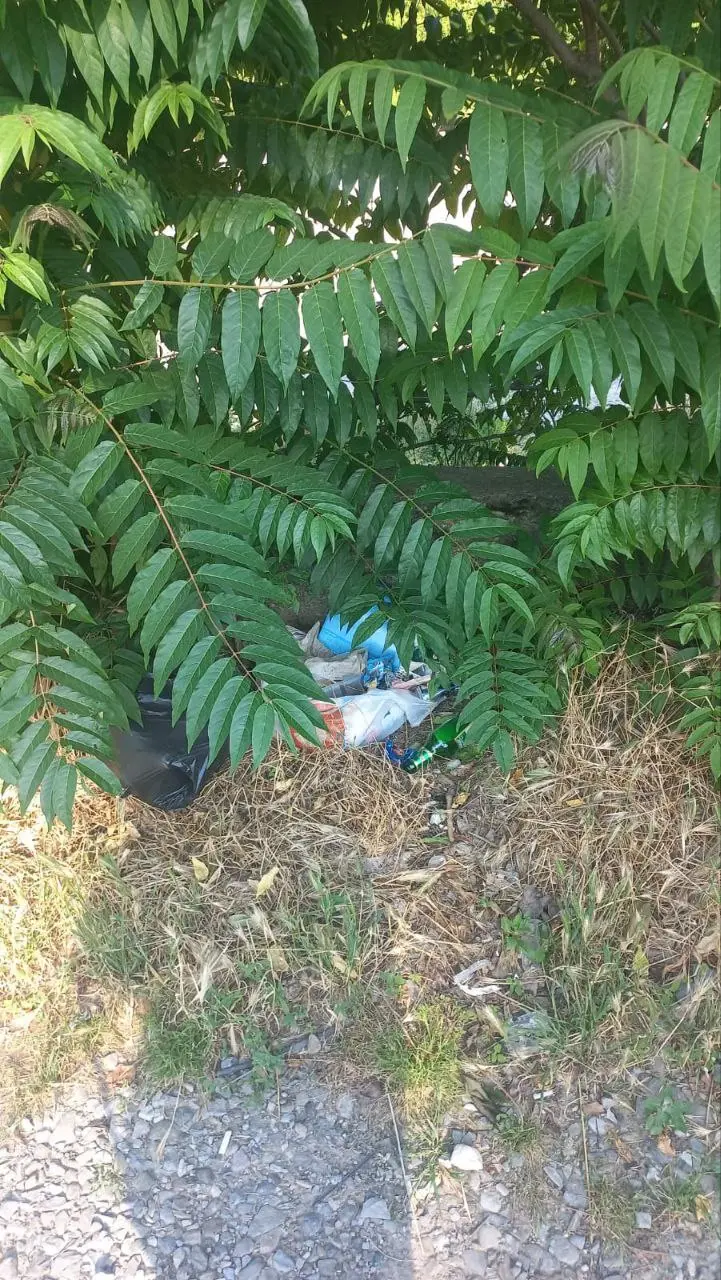 Очистка реки Псезуапсе и Киногостина в библиотеке