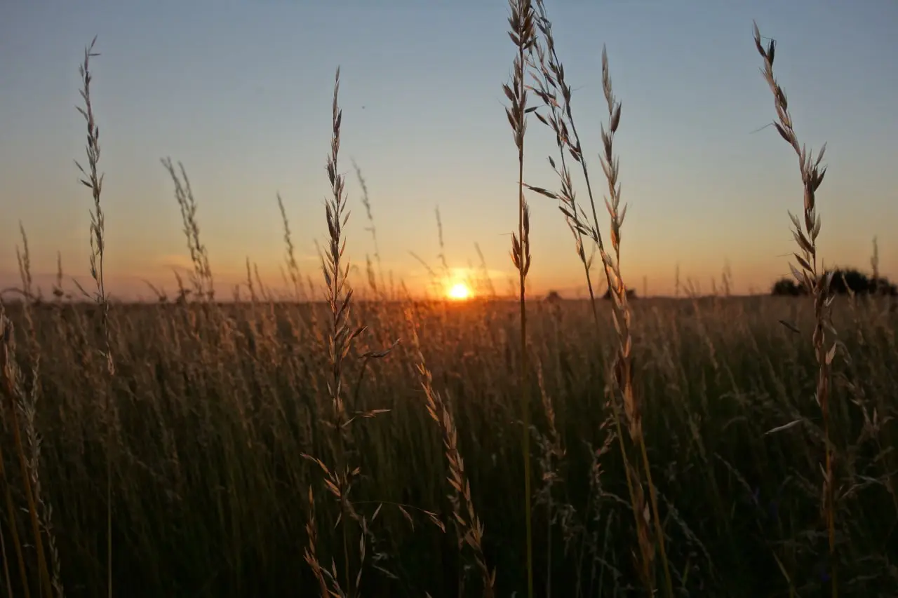 велосипедная прогулка на Лохин остров 25 июля