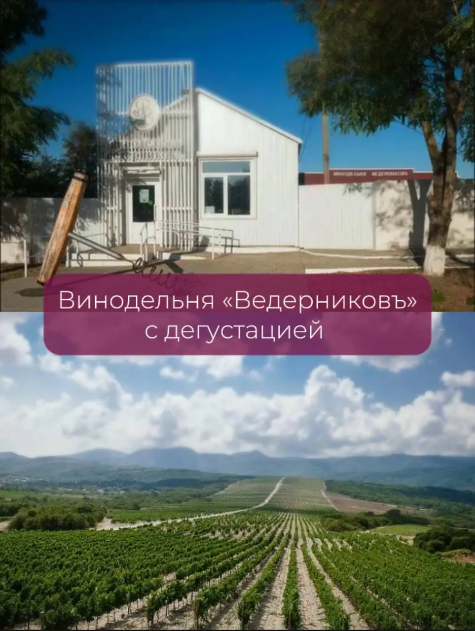 винный эногастротур Ростов Тихий Дон