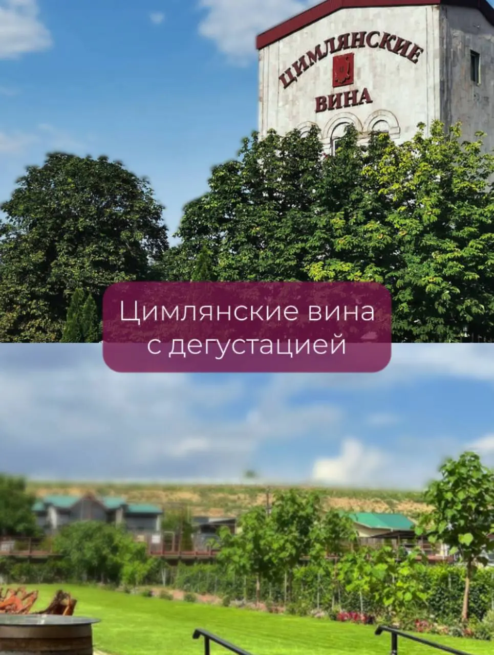 винный эногастротур Ростов Тихий Дон