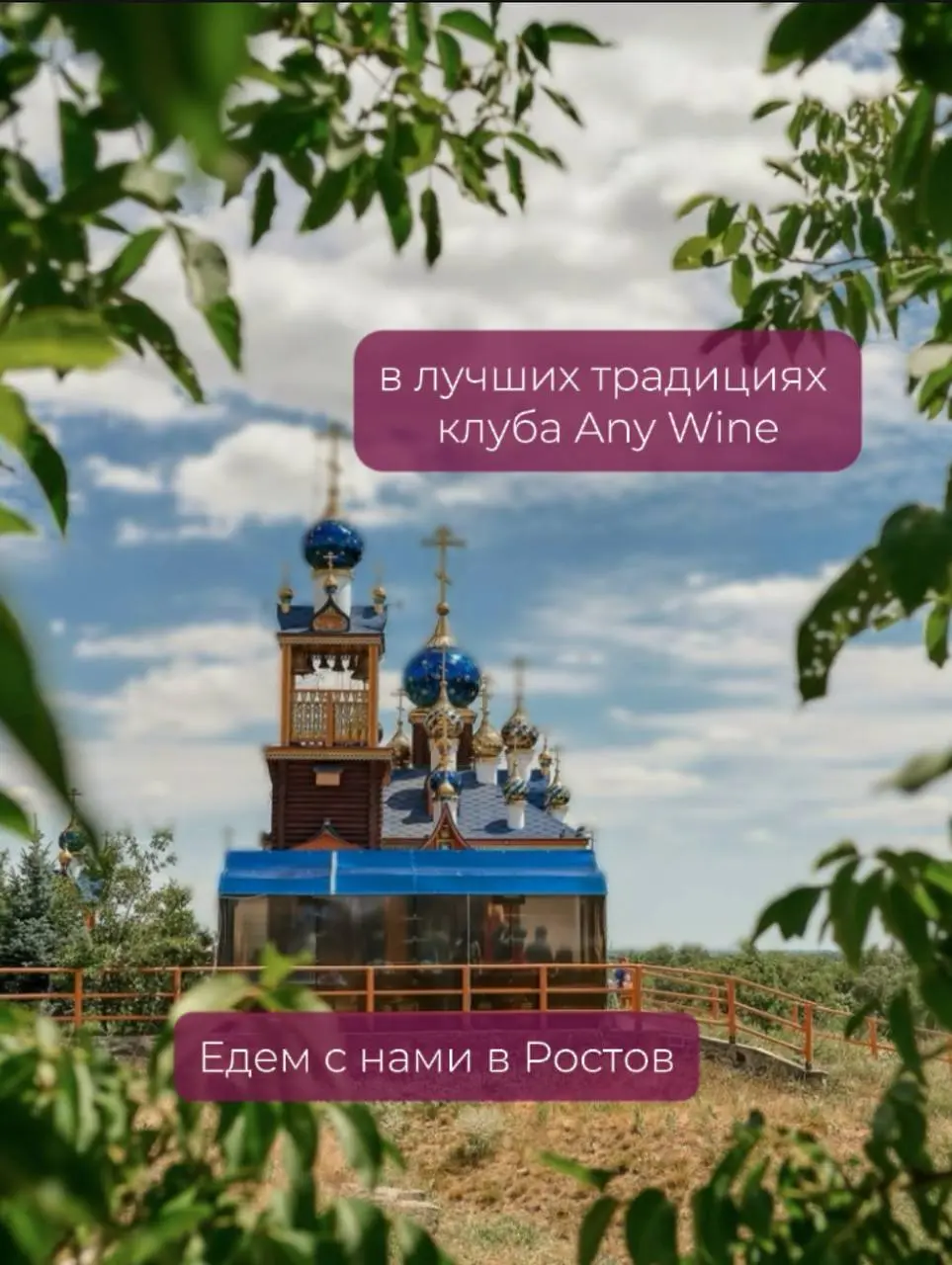 винный эногастротур Ростов Тихий Дон