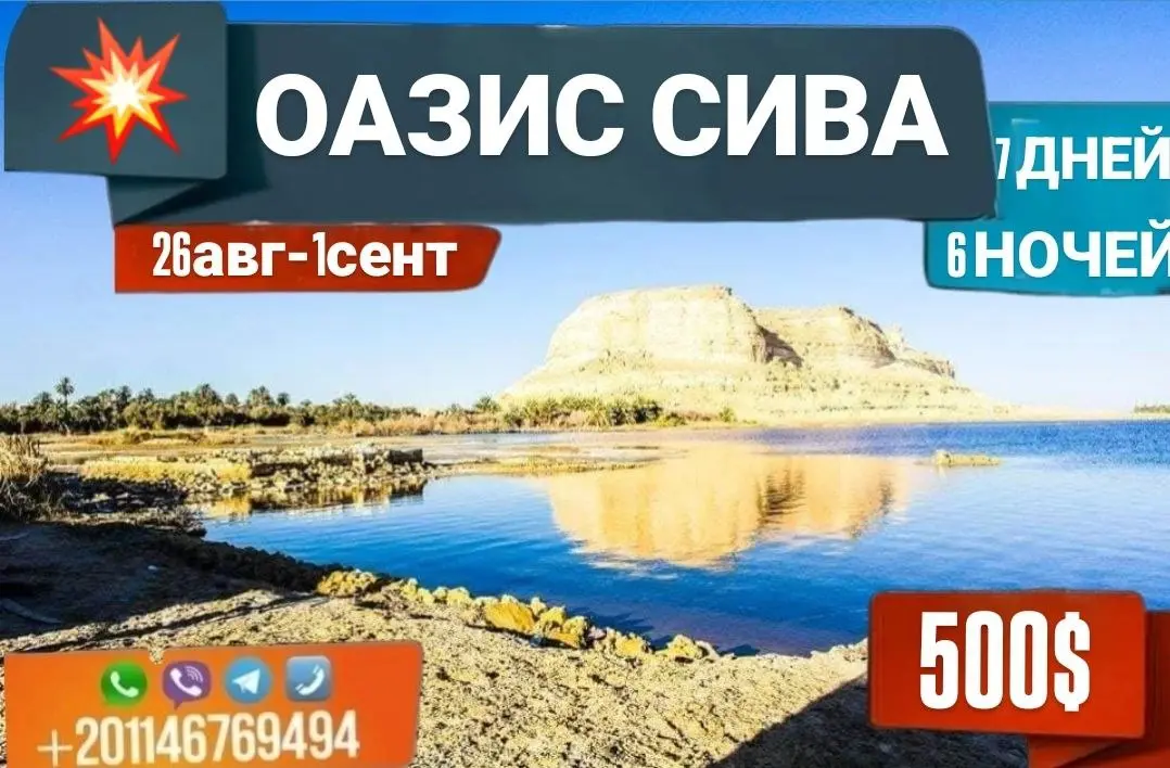 Расписание поездок | Лето–Зима 2025