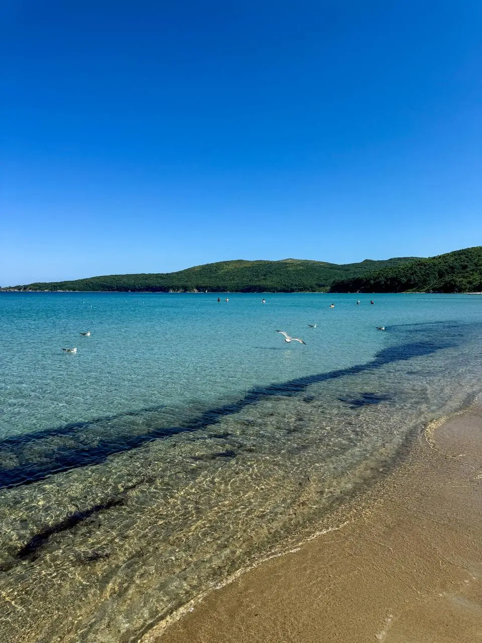 джип-тур в бухты Астафьева, Витязь, Теляковского и остров Томящегося Сердца