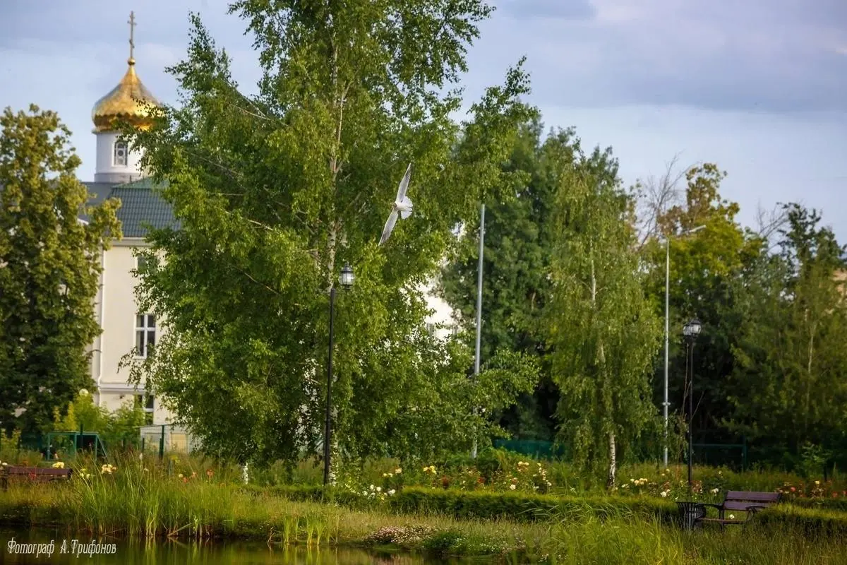 Летний вечер в городском парке Мурома