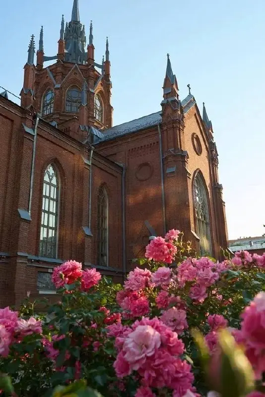 Афиша органных концертов на этой неделе