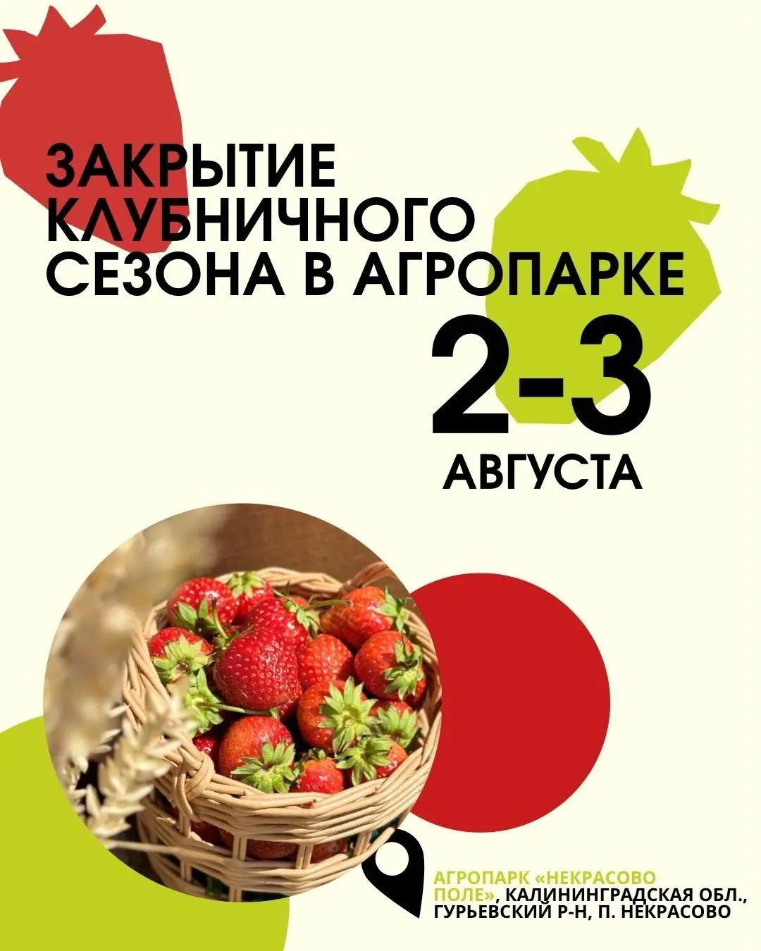 Закрытие клубничного сезона в АгроПарке «Некрасово Поле»