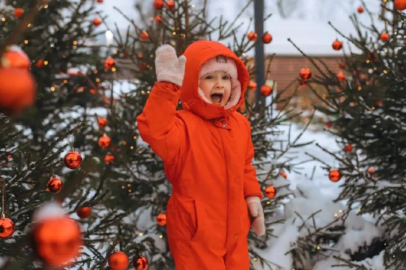 Новогодняя программа на Городской Ферме ВДНХ