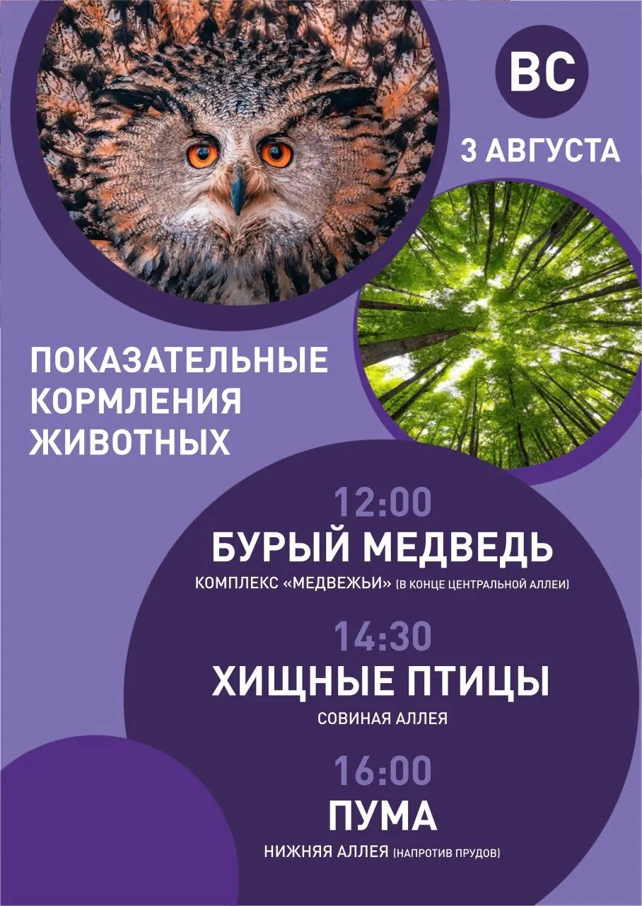 Показательные кормления животных и развлекательная программа "Танцующее лето" в парке "Роев ручей"