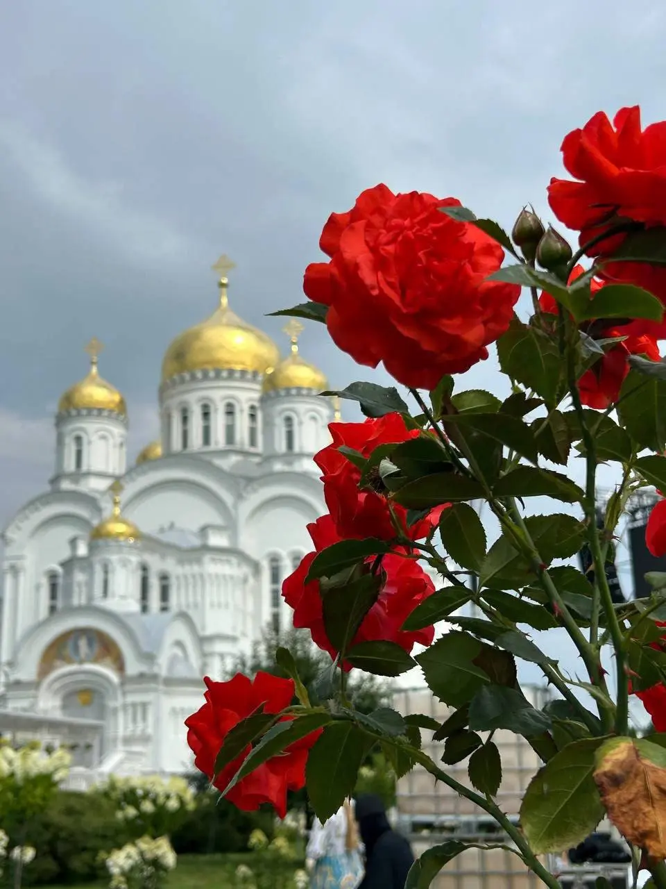 Август в Дивеево