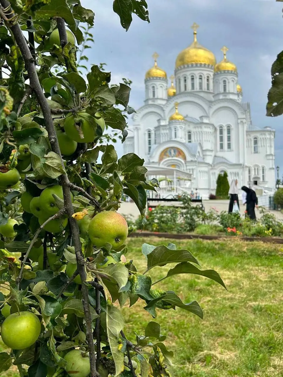 Август в Дивеево