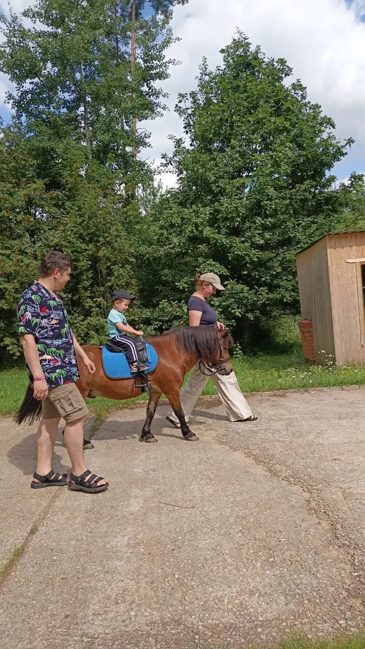 Покатушки на лошадках