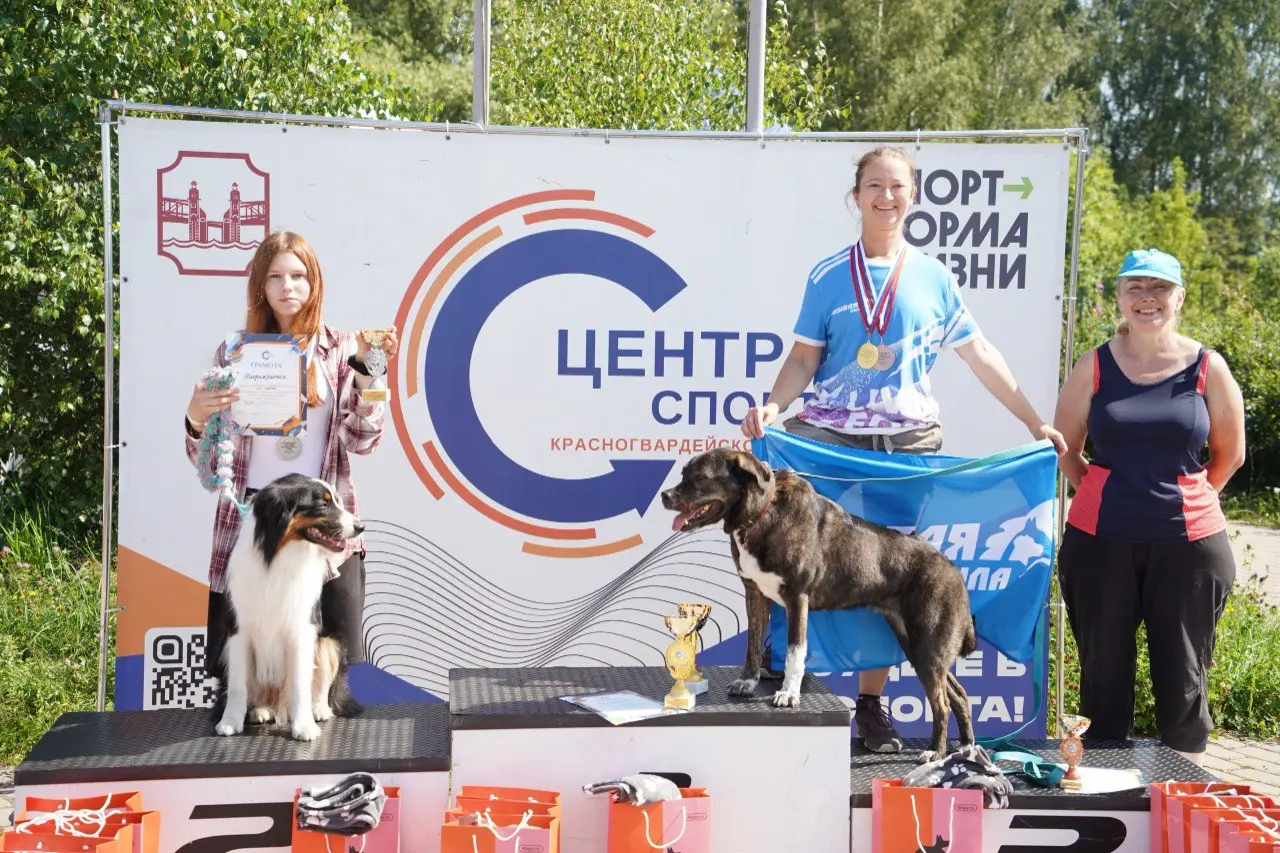 День физкультурника • Фестиваль рекордов ВФСК «ГТО» и другие мероприятия