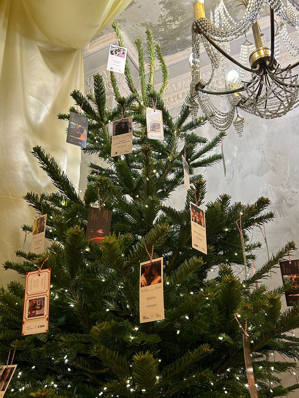 Декабрьские истории с Про:взгляд