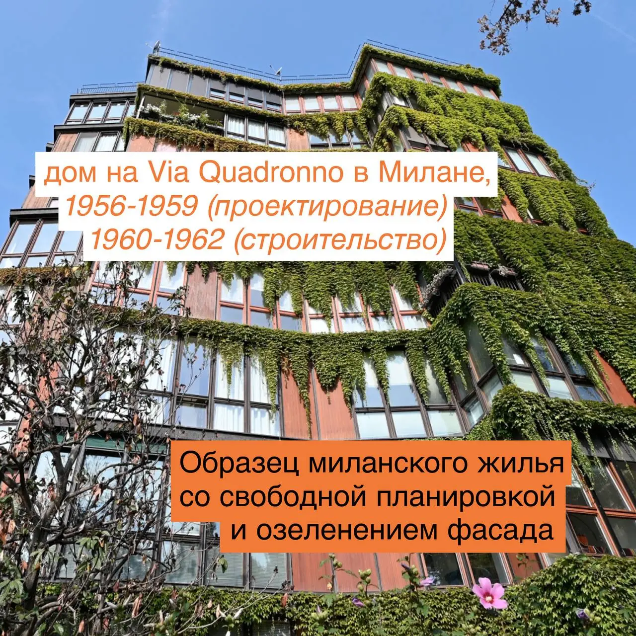 вдохновляющее путешествие по миру дизайна: смотрим «Алфавит Манджаротти»