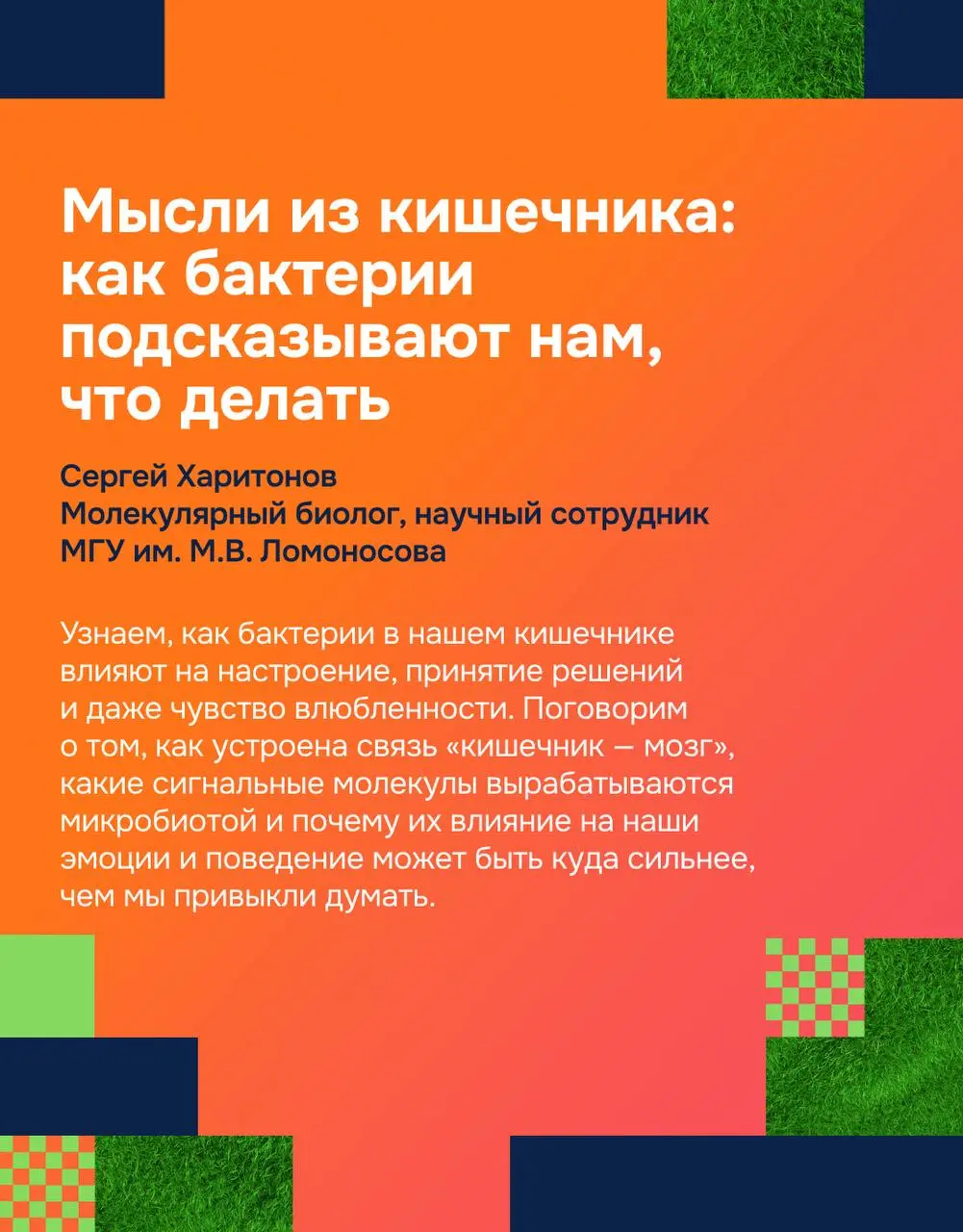 ИТ-пикник: наука, музыку и восприятие