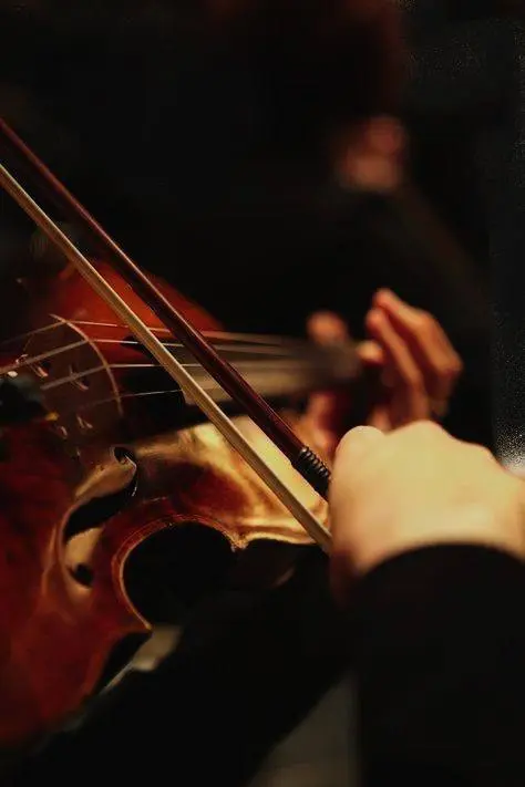 Концерт «Симфонические картины»