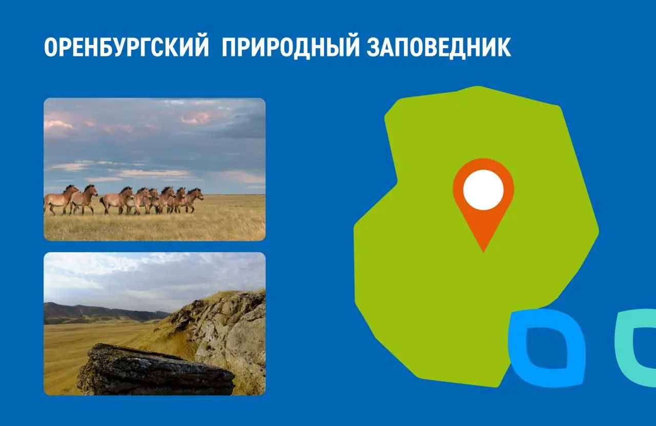 Экологическая акция в природном заповеднике "Комаровский берег" 9 августа 2025