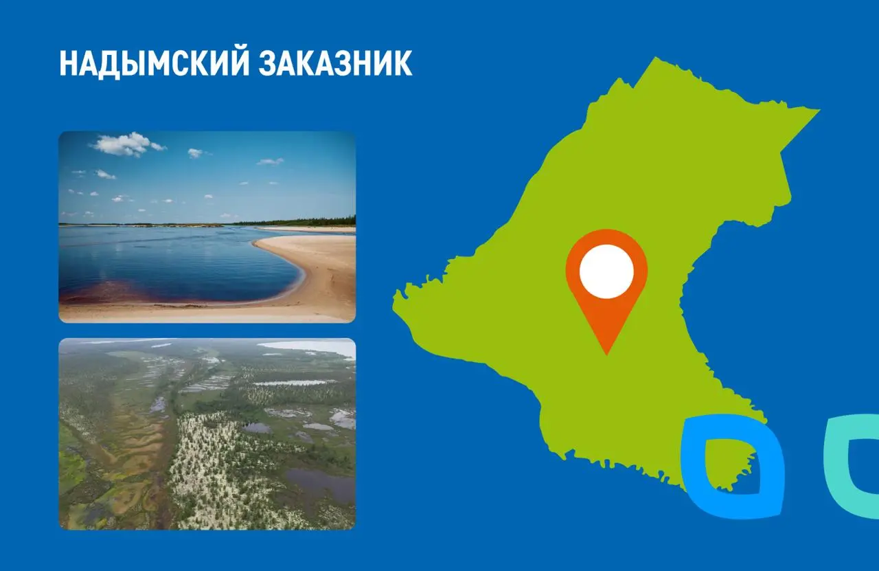 Экологическая акция в природном заповеднике "Комаровский берег" 9 августа 2025