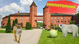 Активное долголетие: экскурсии