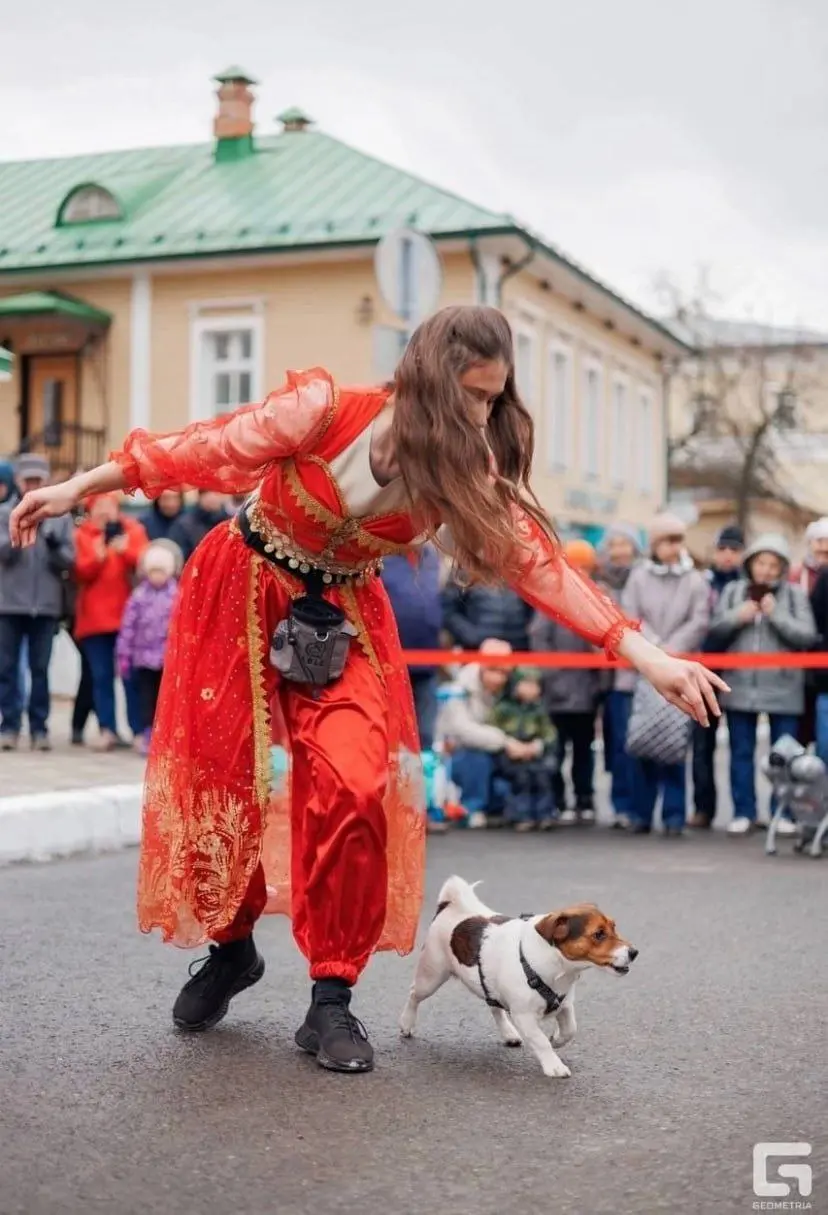 Дай лапу — фестиваль помощи бездомным животным