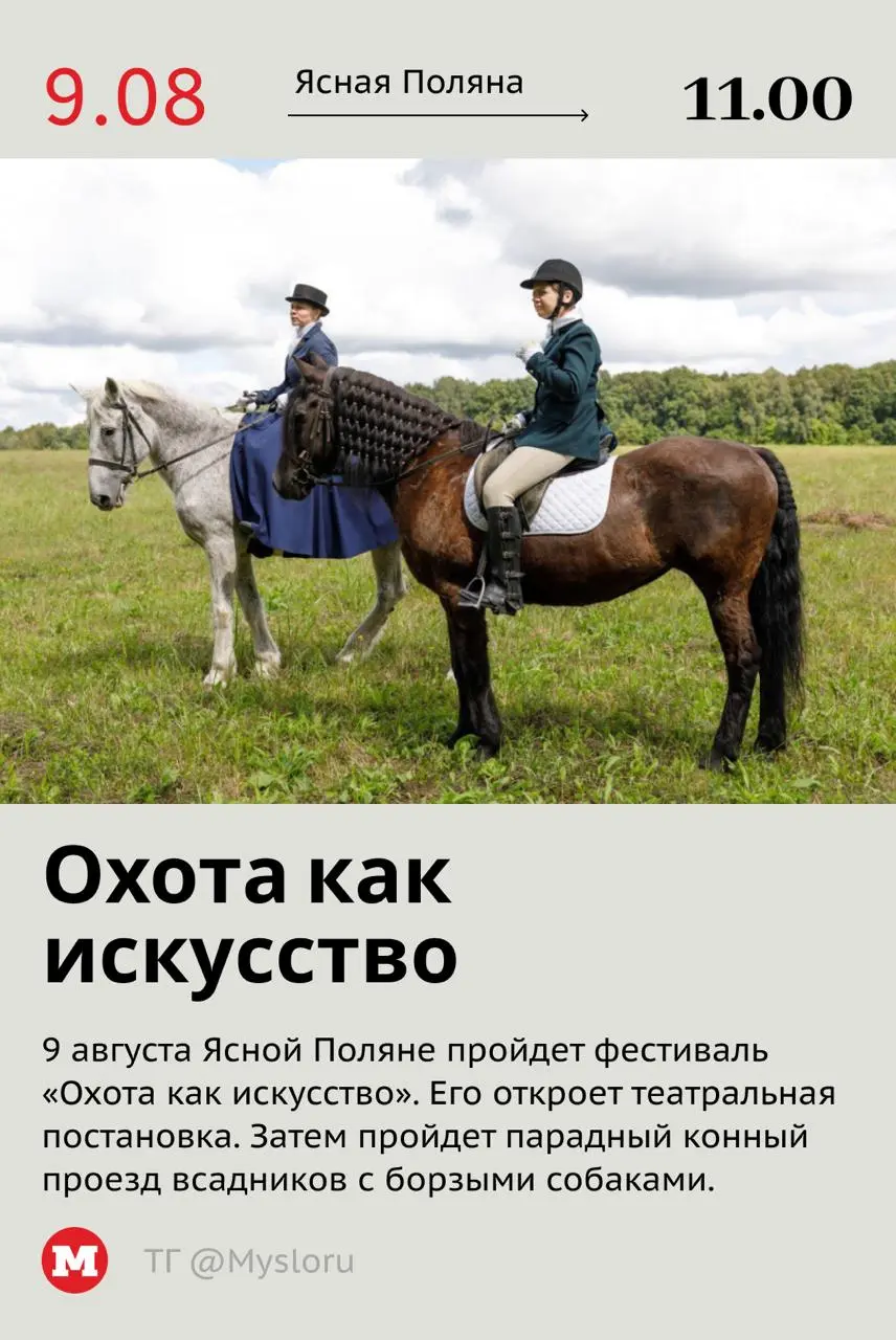 Гик-фестиваль, концерт Доры и пляжное регби