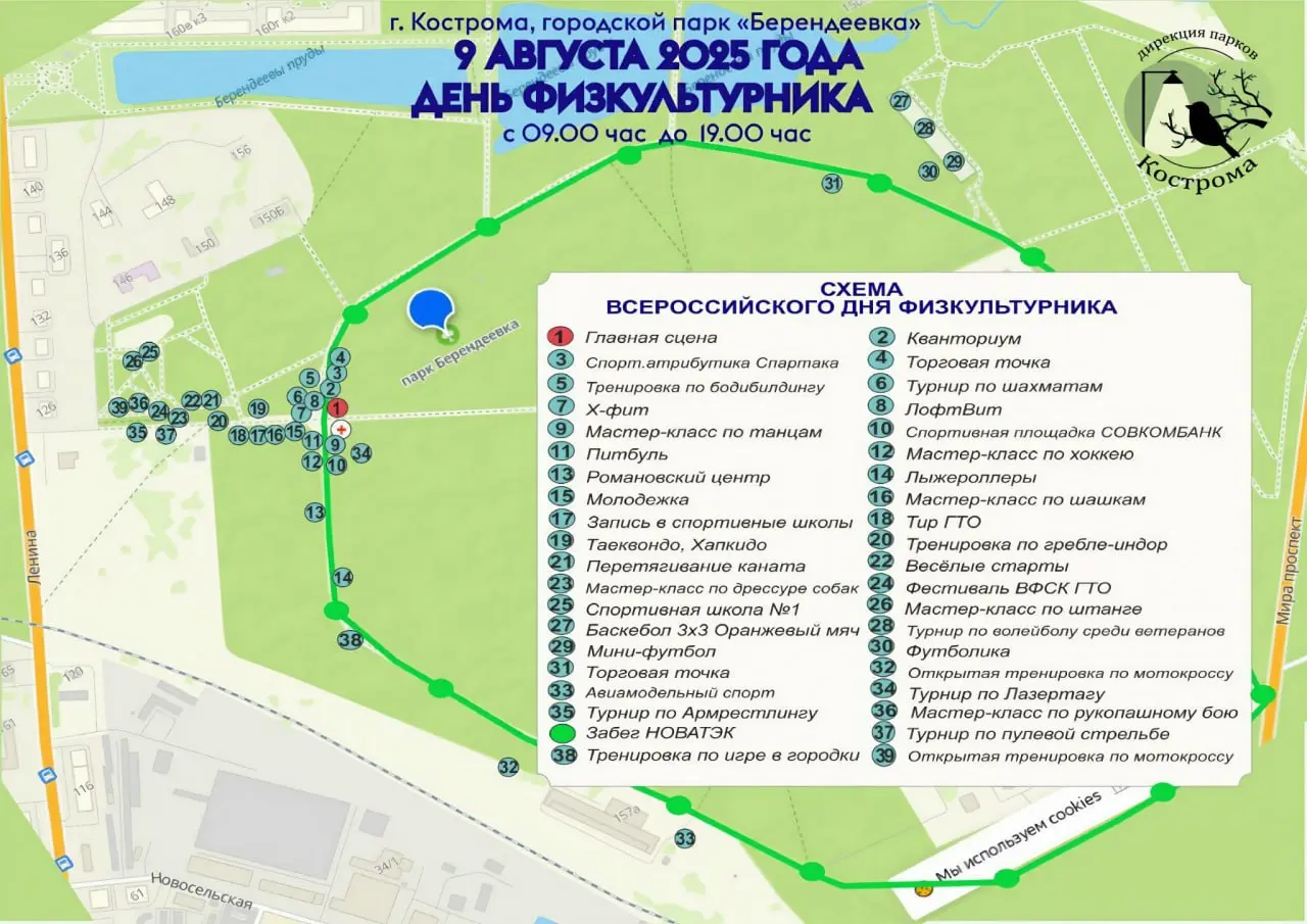 День физкультурника в парке Берендеевка