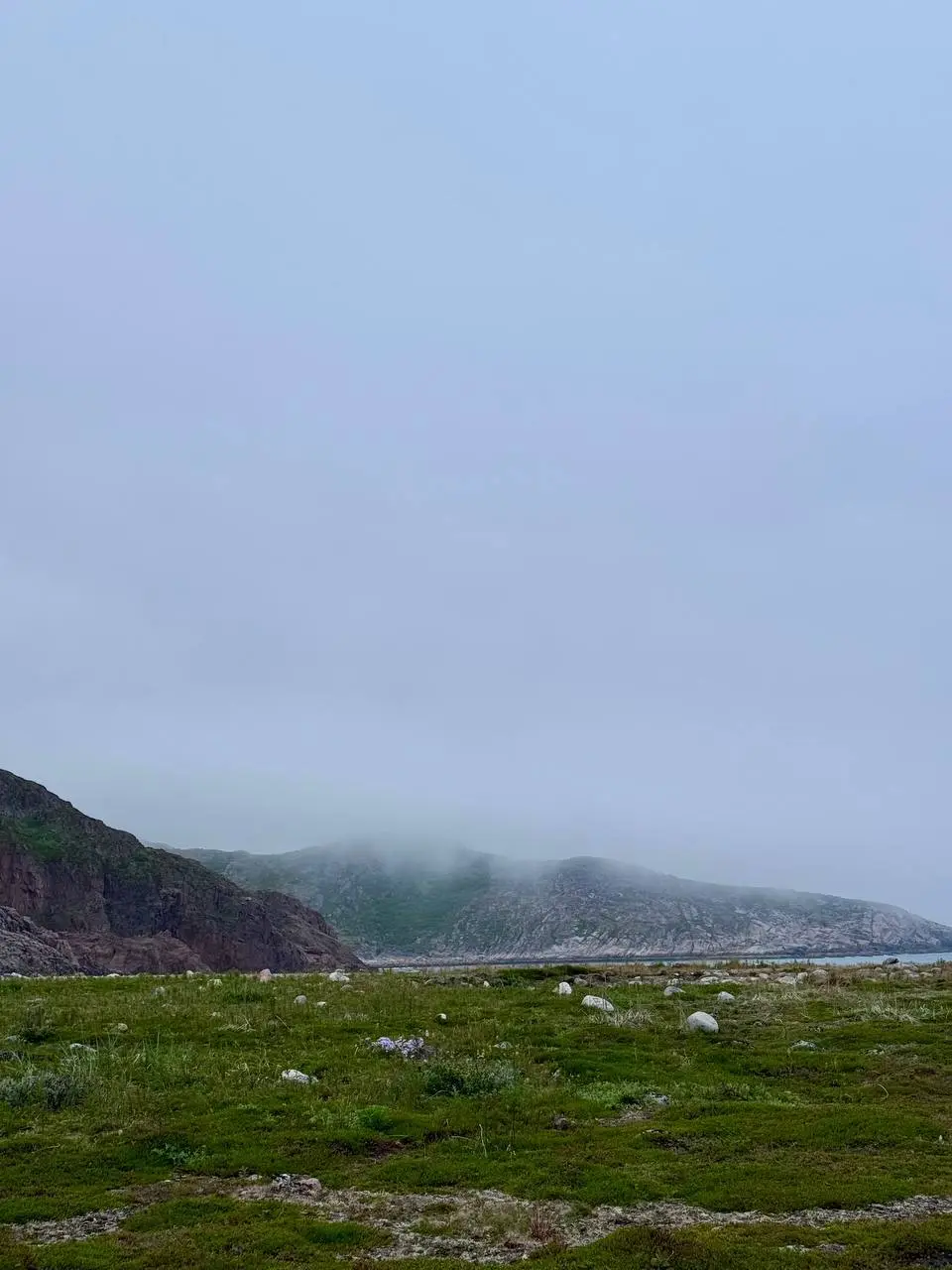 Arctic Freedom