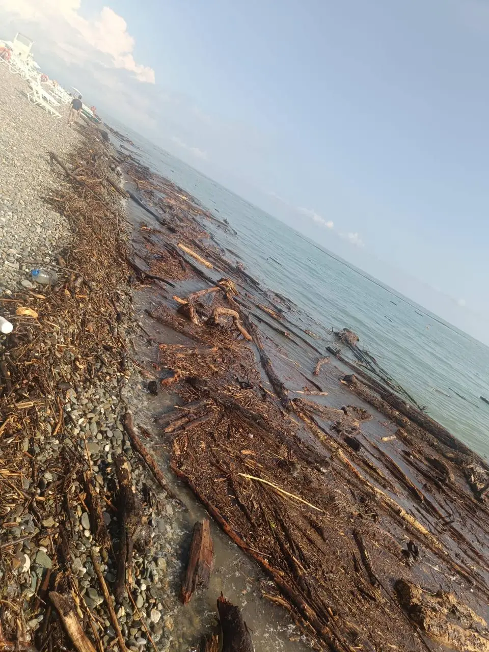 Субботник на пляже: наведение порядка после непогоды