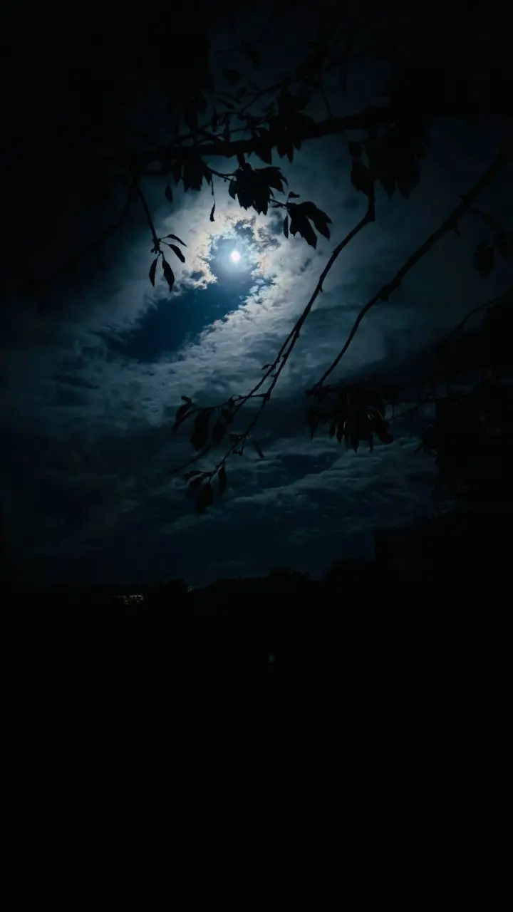 Волшебная ночь ✨