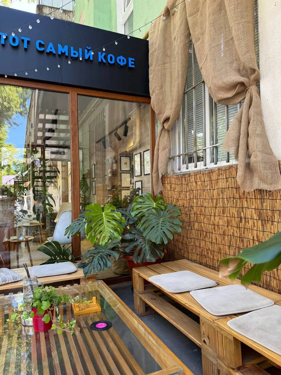 Концерт живой музыки под открытым небом