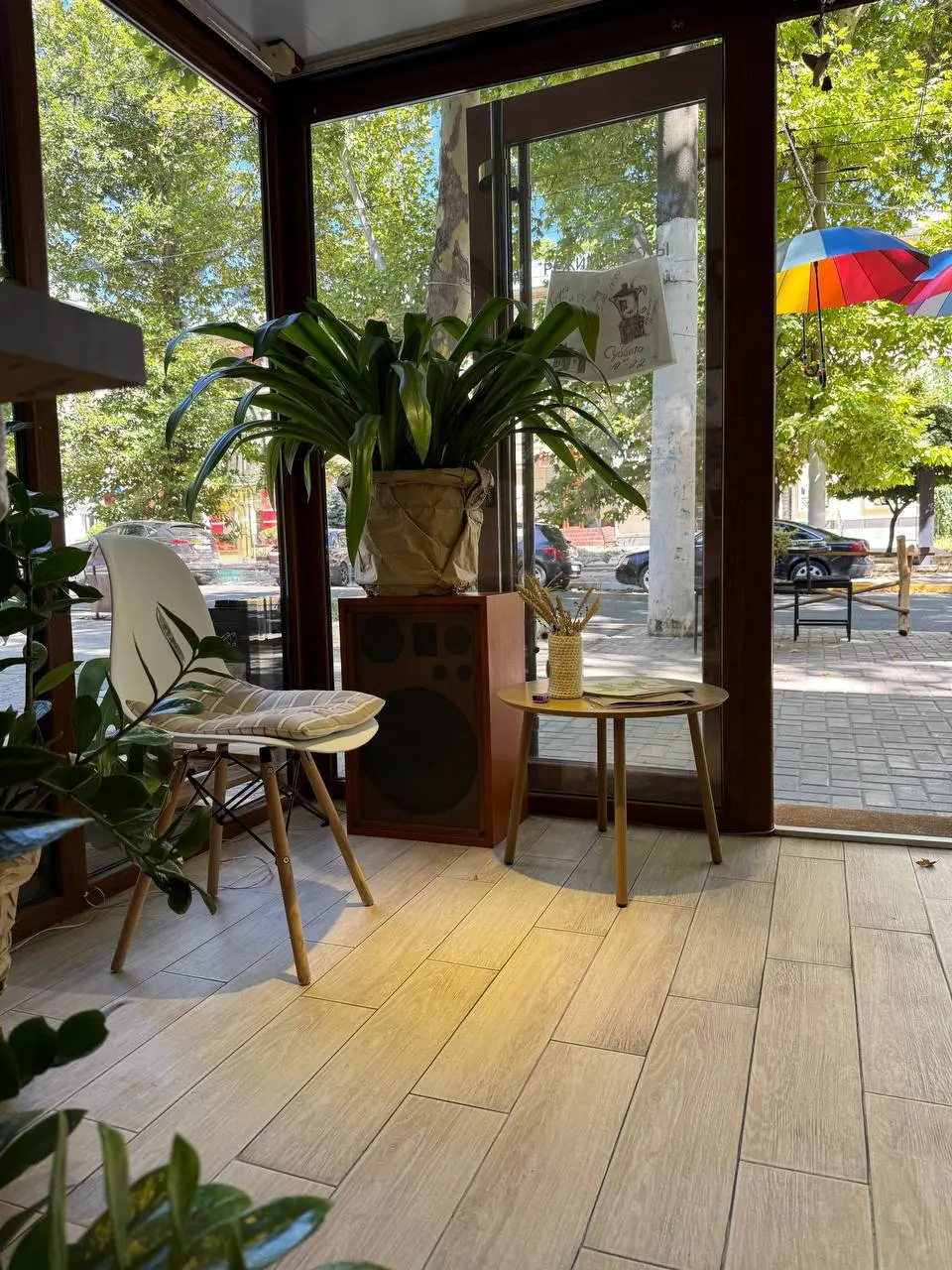 Концерт живой музыки под открытым небом