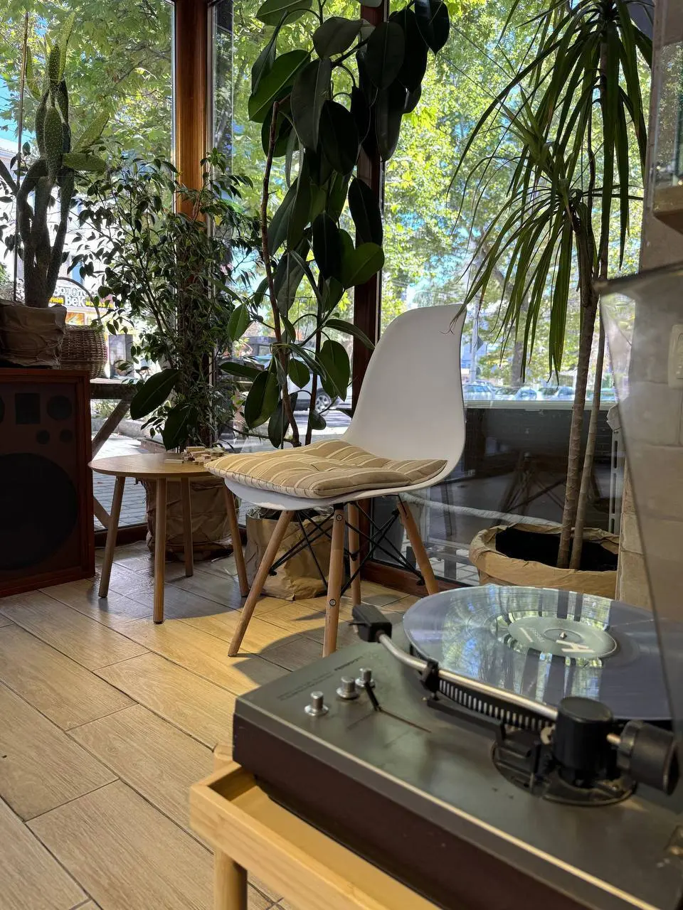 Концерт живой музыки под открытым небом