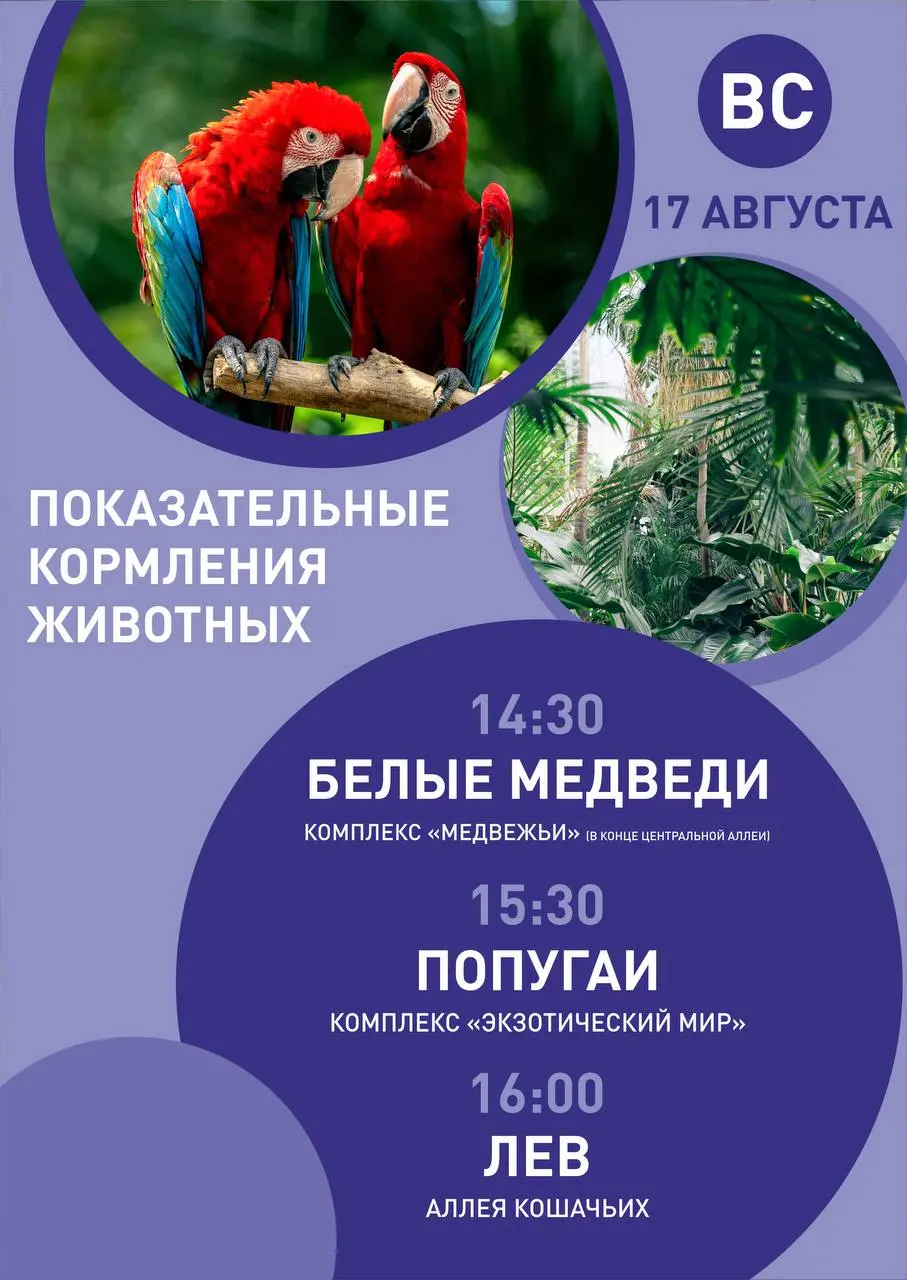 Расписание показательных кормлений в парке Роев ручей на 16 и 17 августа