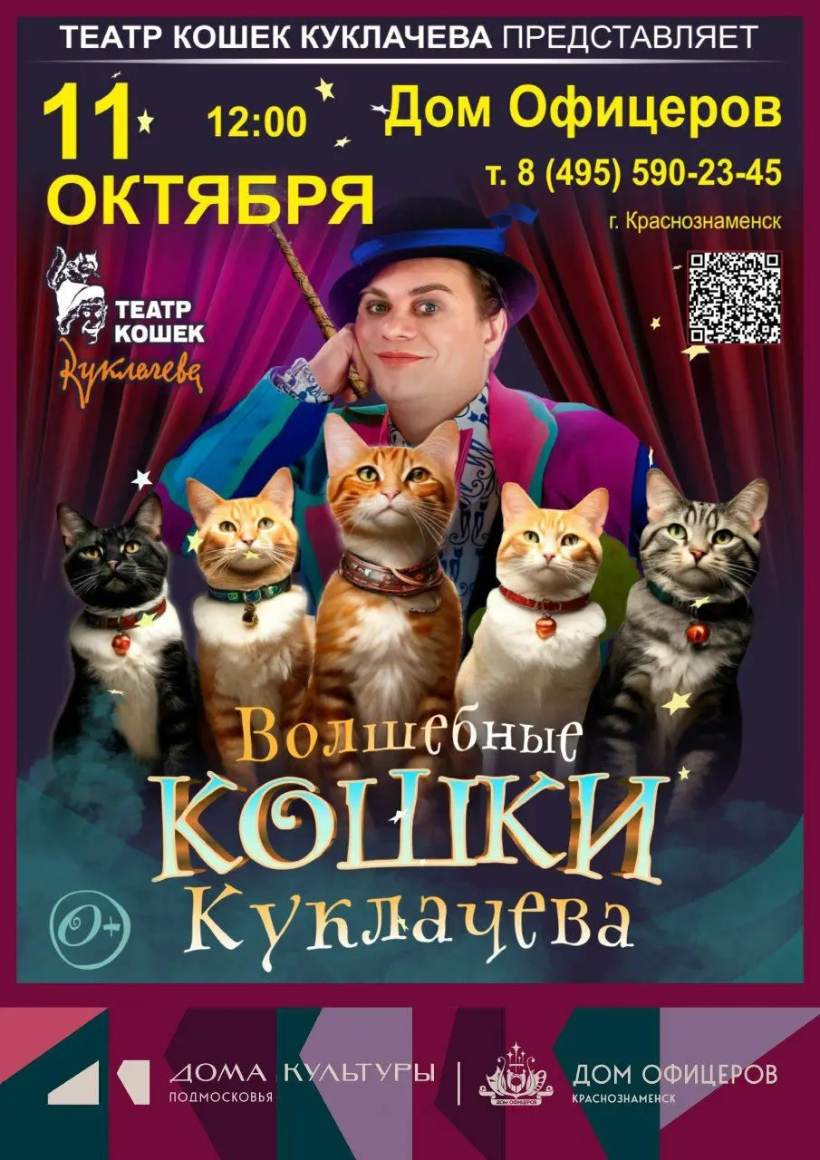 Спектакль Владимира Куклачева «Волшебные кошки»