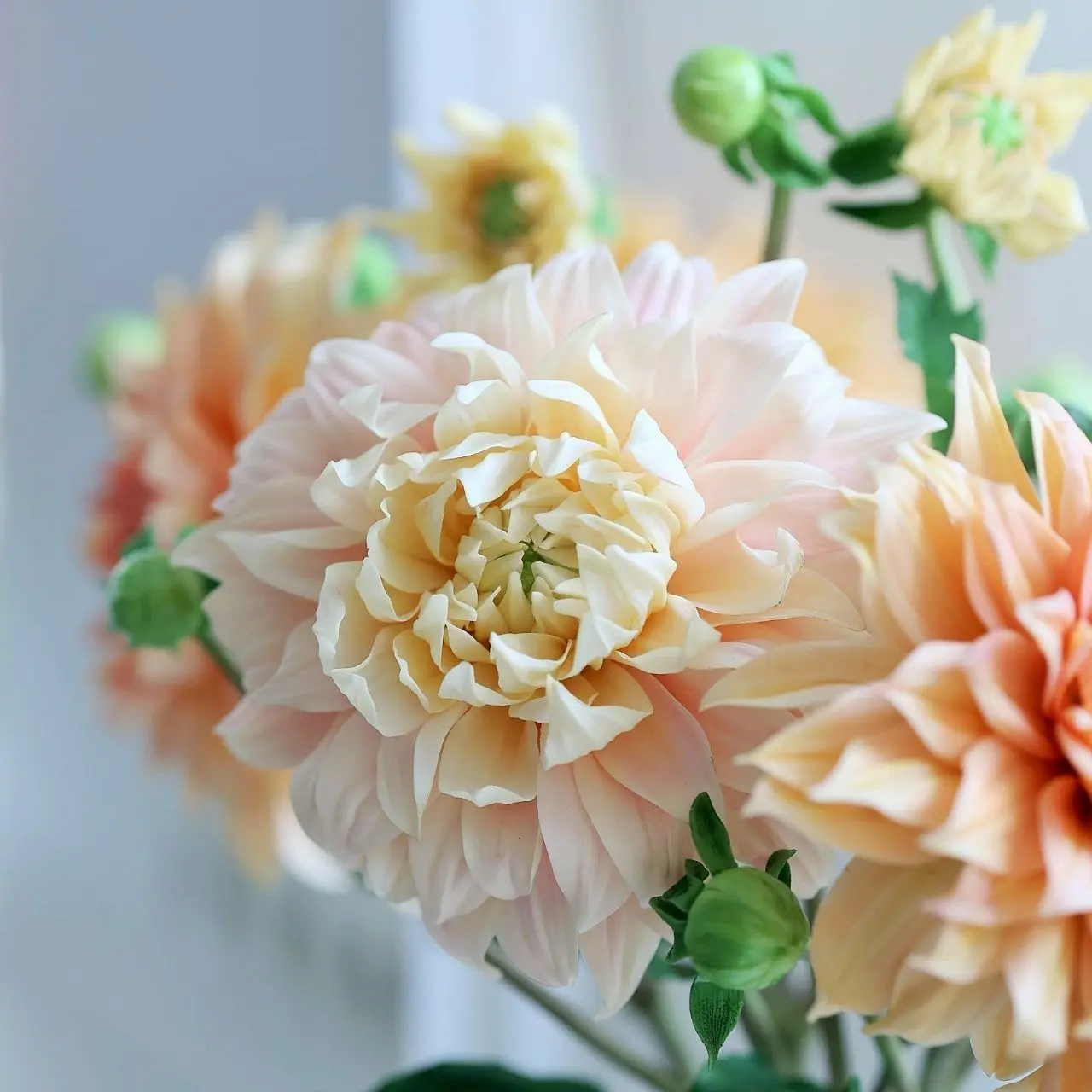 мастер-класс «Георгин из холодного фарфора»