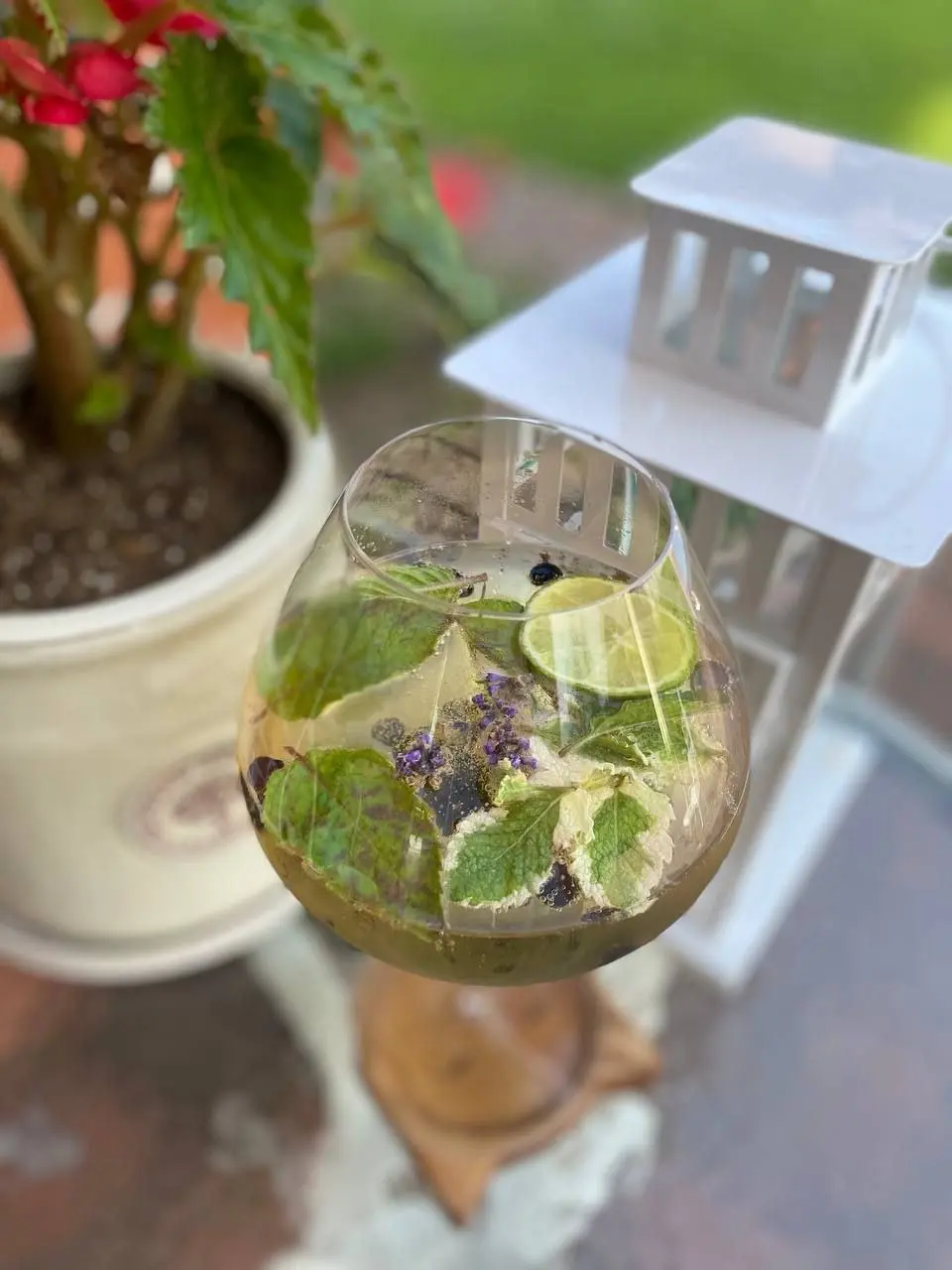 Очередной винный лекторий с Анной Воликовой