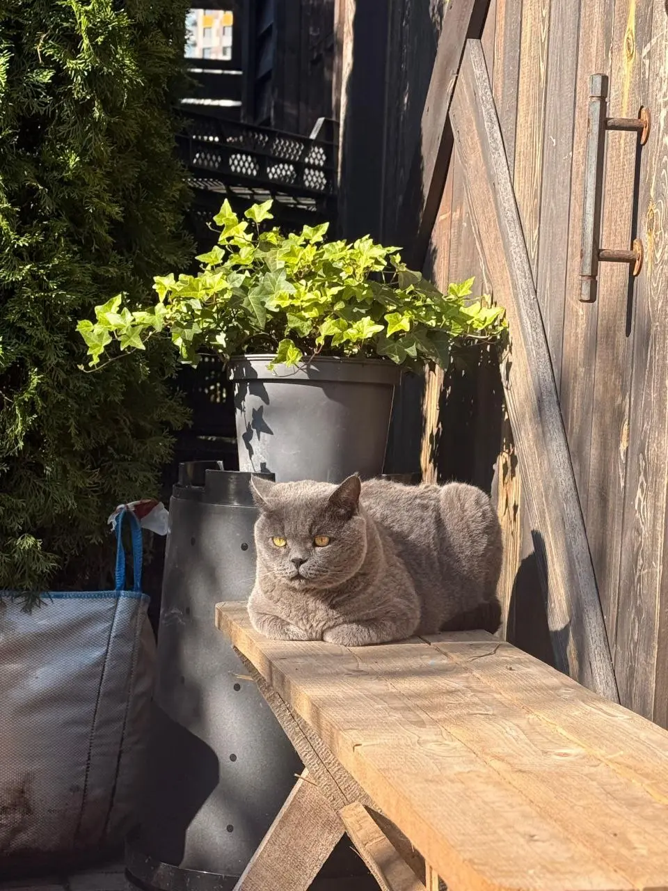 Очередной винный лекторий с Анной Воликовой